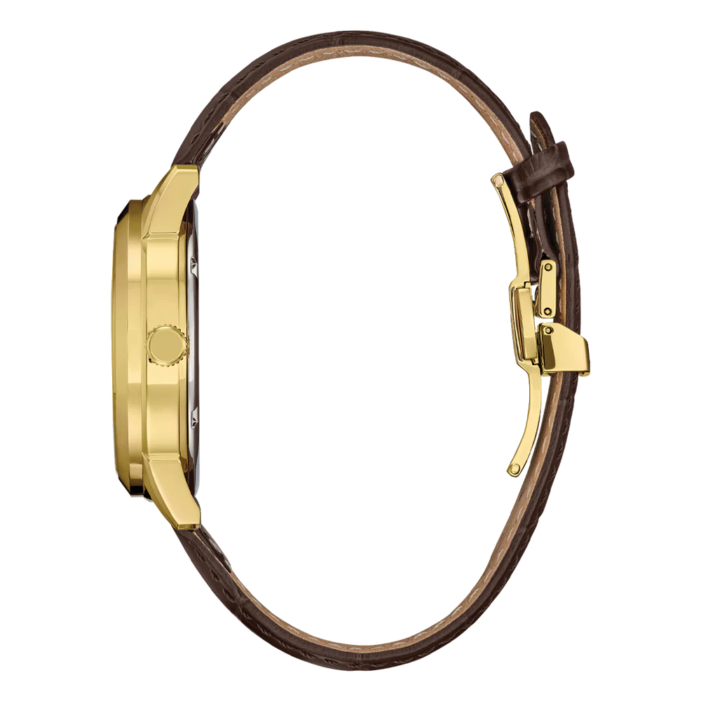 Citizen - Classic Eco-Drive Watch