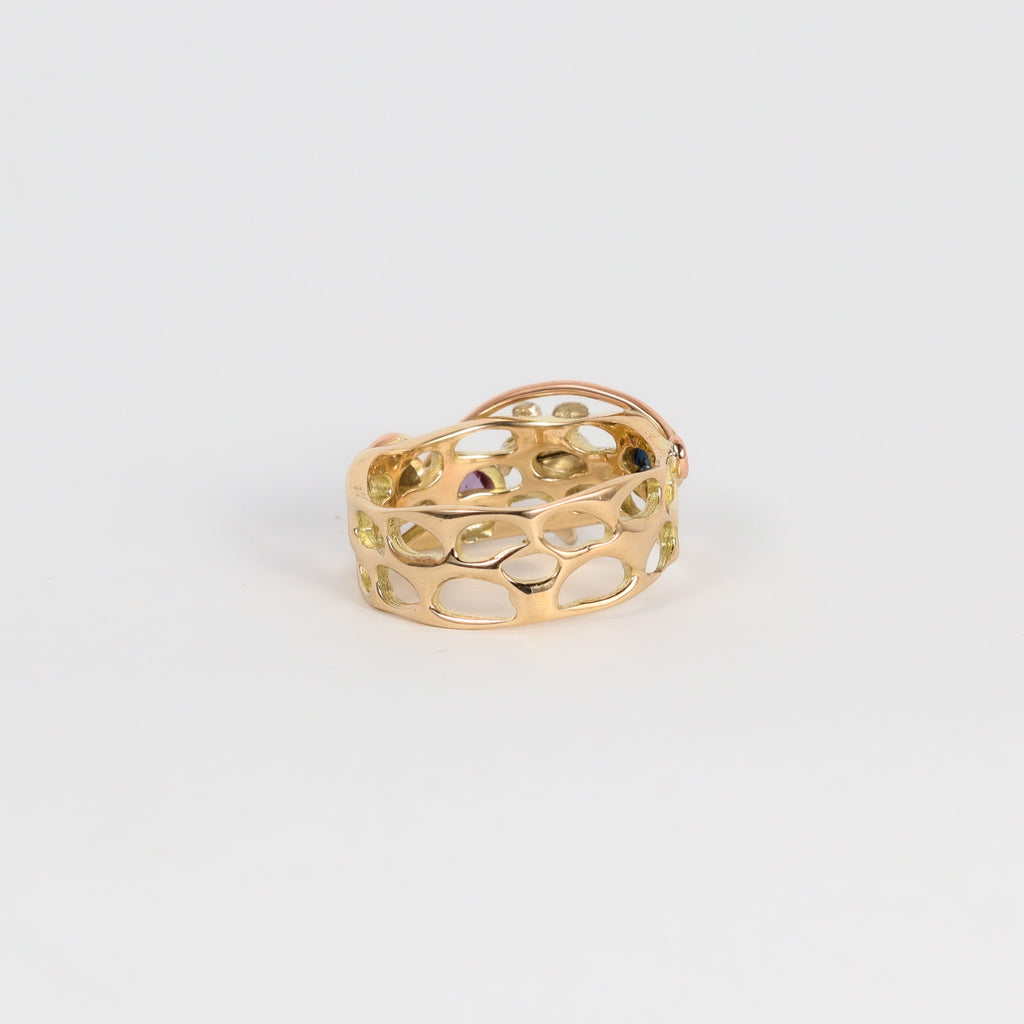 Coral Bay Jewels - Two-tone Sapphire & Turtle Gold Ring